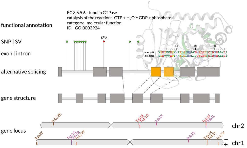 Functional genome annotation, dos and don’ts part 3